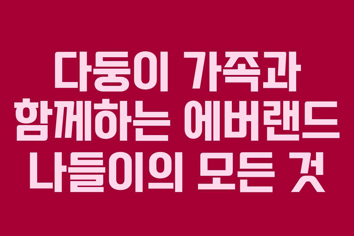 다둥이 가족과 함께하는 에버랜드 나들이의 모든 것