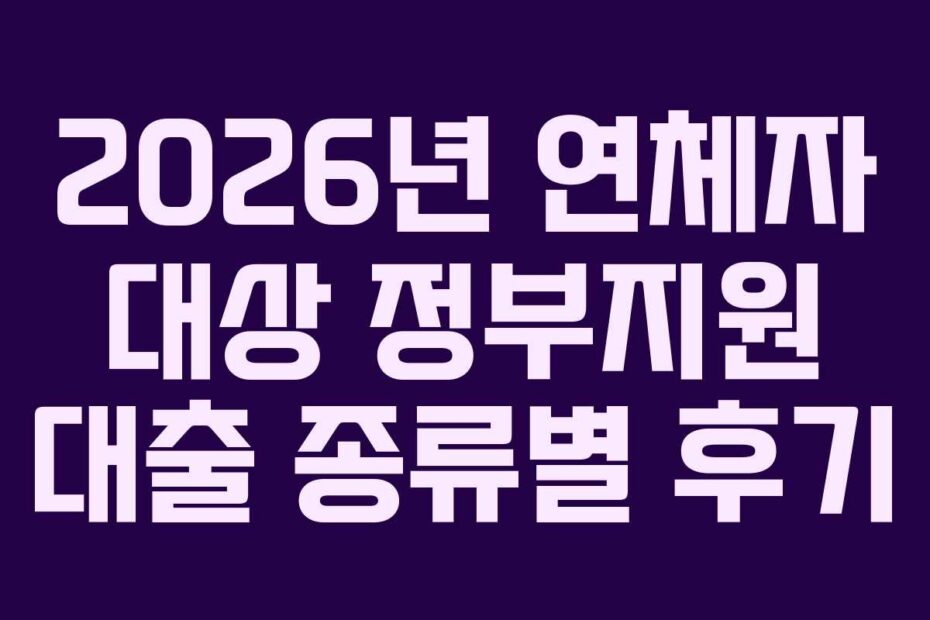 2026년 연체자 대상 정부지원 대출 종류별 후기