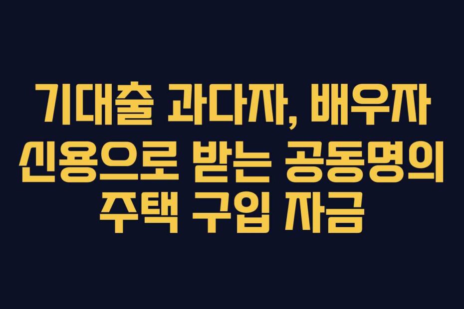 기대출 과다자, 배우자 신용으로 받는 공동명의 주택 구입 자금